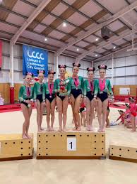 Image result for Abbey Gymnastics Club