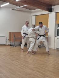 Image result for middlesbrough karate academy