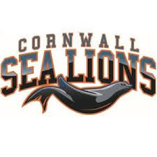 Image result for Cornwall Men's Synchronized Swimming Club