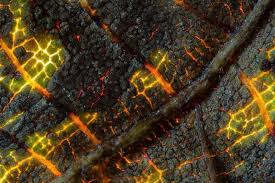 Attēlu rezultāti vaicājumam “Diplophyllum albicans”