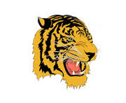 Image result for Kidderminster Tae Kwon Do Tigers