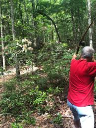 Image result for Hart Of Sherwood Archery Club