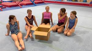 Image result for Sudbury Gymnastics Club