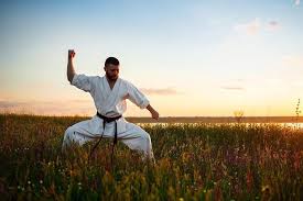 Image result for Championship Martial Arts Winter Springs