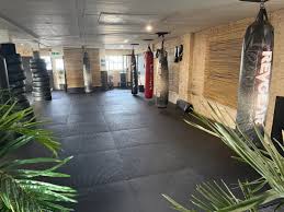 Image result for Bristol Dojo MMA