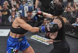 Image result for NEMESIS MARTIAL ARTS & FITNESS