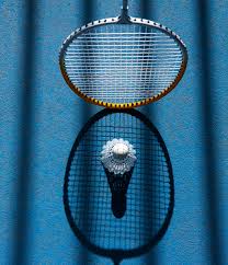 Image result for Basingstoke Racketeers Badminton Club