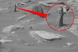 Image result for mars trees