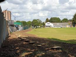 Image result for Lintz Cricket Club