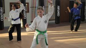 Image result for Hetton and Murton Karate Academy