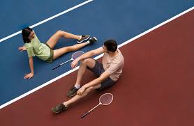 Image result for Basingstoke Racketeers Badminton Club