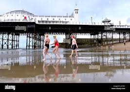 Image result for Brighton Swimming Club