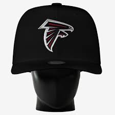 Image result for Falcons Black
