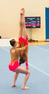 Image result for Wigan Seagulls