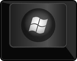 Image result for Windows key