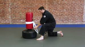 Image result for Freedom Martial Arts