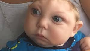 Image result for no brain