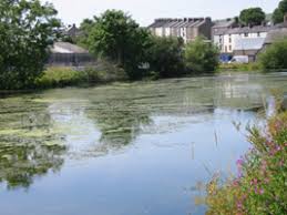 Image result for Ulverston Angling Association