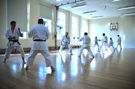 Image result for Devonport Shotokan Karate Club
