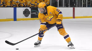 Image result for Pontypool Skater Hockey Club