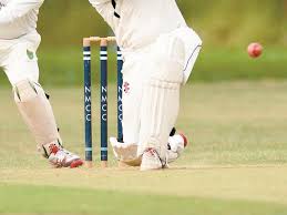 Image result for Ballinger Waggoners Cricket Club