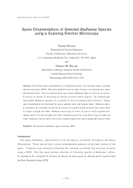 Attēlu rezultāti vaicājumam “Badhamia lilacina spores”