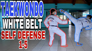Image result for Tkd Self Defense