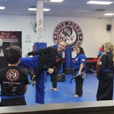 Image result for Elite Force Martial Arts