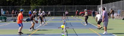 Image result for 1st New Forest Pickleball Club