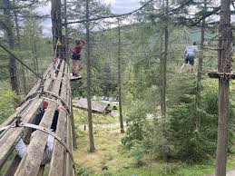 Image result for Go Ape! Whinlatter