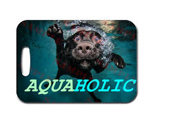 Image result for Iom Aquaholics