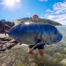 Image result for Caranx ignobilis