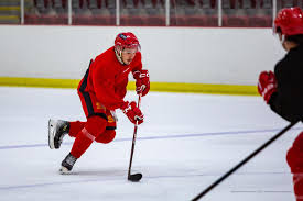 Image result for Streatham Redskins