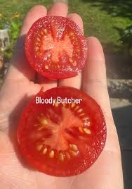 Afbeeldingsresultaat voor bloody butcher tomato
