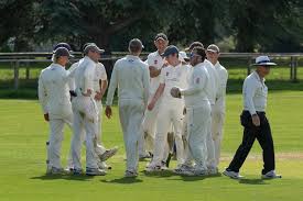 Image result for Steyning Cricket Club