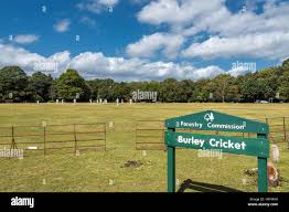 Image result for Burley-In-Wharfedale Cricket Club