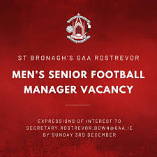 Image result for St Bronagh`s Gaa