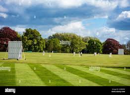 Image result for Wiseton Cricket Club