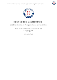 Image result for Norwich Iceni Baseball Club