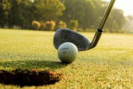 Image result for Caird Park Golf Club