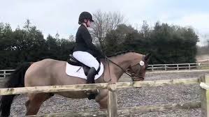 Image result for Elstead Riding Club