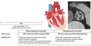 Image result for Hemonetics CCS