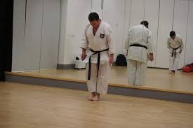 Image result for Ji Shin Do Karate