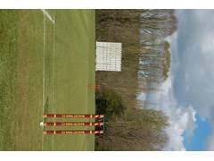 Image result for Buscot Park Cricket Club