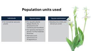 Attēlu rezultāti vaicājumam “Hamatocaulis lapponicus”