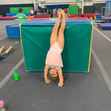 Image result for Sheredes Gymnastics Club