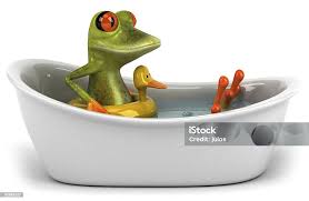 Image result for Bath Amphibians