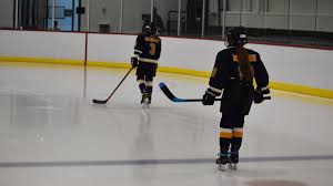 Image result for Havering Skater Hockey Club