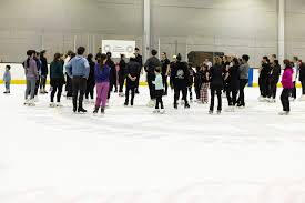 Image result for Guildford Ice Figure Skating Club