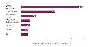 Image result for genome sizes